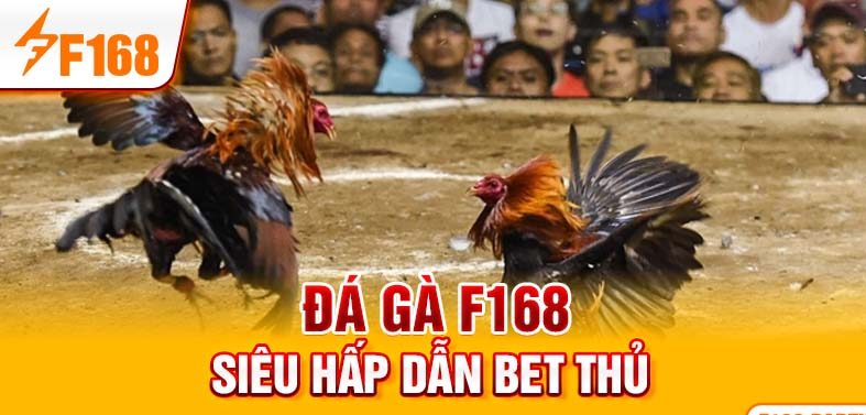 Đá gà F168 siêu hấp dẫn bet thủ Đá gà F168 siêu hấp dẫn bet thủ